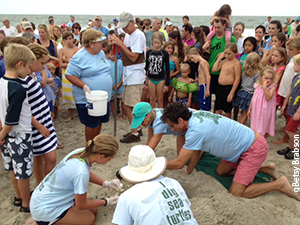 Betsy Brabson leading a public dig