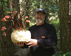 Paul Stamets with a variant of the Reishi mushroom (Ganoderma lucidum s.l.)