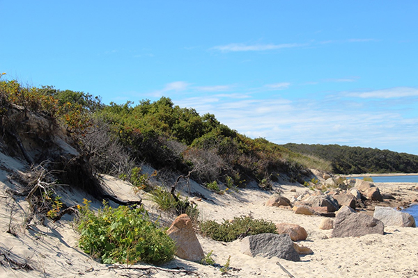 CoastalDunes600