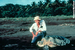 Dr. Archie Carr with green turtle in Tortuguero (credit Jeanne Mortimer) copy