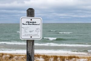 Port Crescent State Park. Port Austin, MI