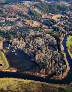 Fee-Simon tidal wetland restoration site