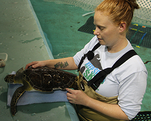 Amber White points to Hardshell's damaged shell