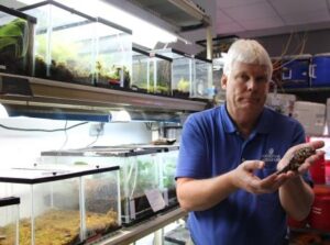 Salamanders are used in the National Aquarium's conservation outreach