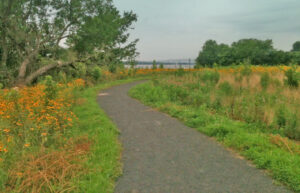 Native vegetation frames a riverfront trail at Lardner's Point Park