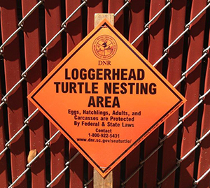 Nesting Sign