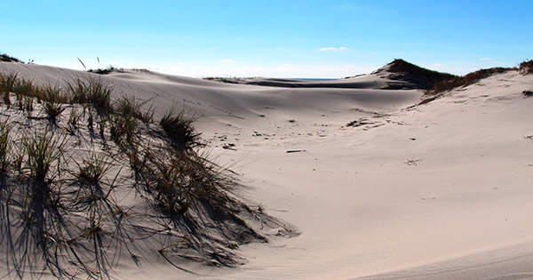 SandyDunes600