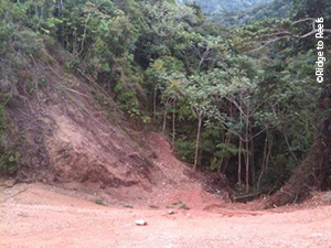 Steep, eroded slope in the Guánica watershed, pre-stabilization