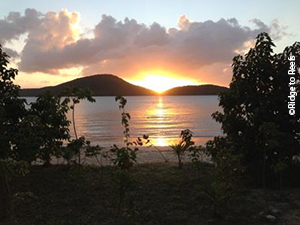 A beautiful Puerto Rican sunset is even prettier with newly planted native vegetation in the foreground