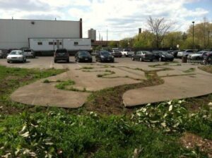 Reintegrating urban ecology: dendridic decay garden at former urban industrial site 