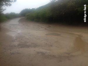 Zoni Beach, Culebra, PR pre-stabilization/restoration