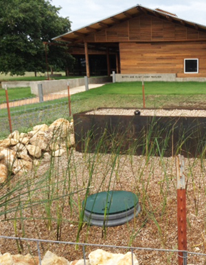 Treatment wetland at the Josey Pavilion